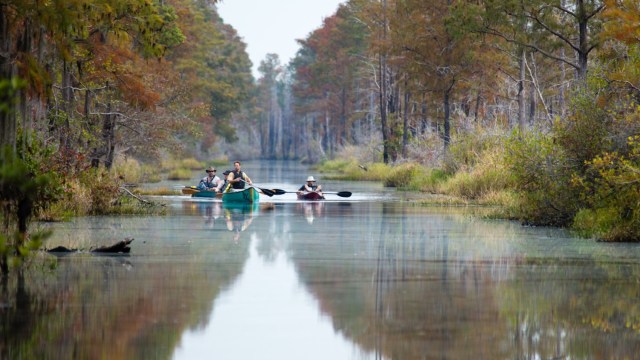 "It was one of the largest public campaigns that I have ever been involved in."