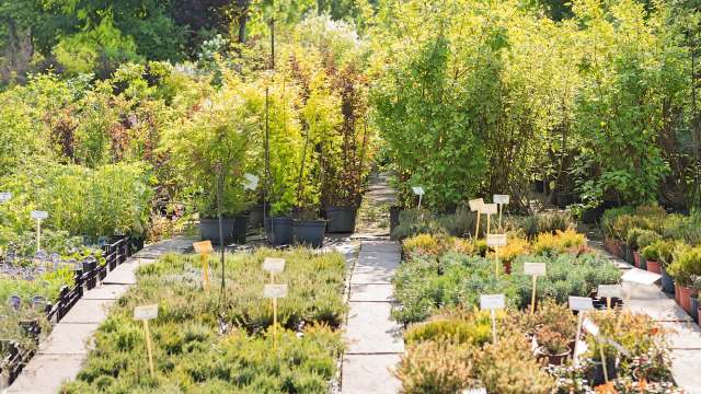 The best part is, you can start as big or as small as you want to.