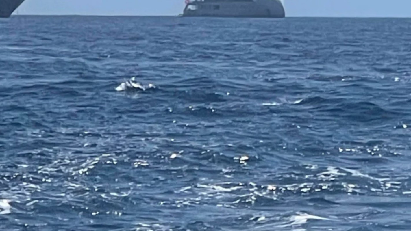 "Did the designer ever step back from the drawing board and go, 'Yes, that looks amazing'?"