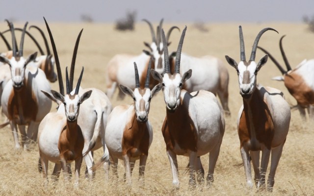 "Its value is not only in its biological value but in its cultural value as well with the human dimensions of the reserve."