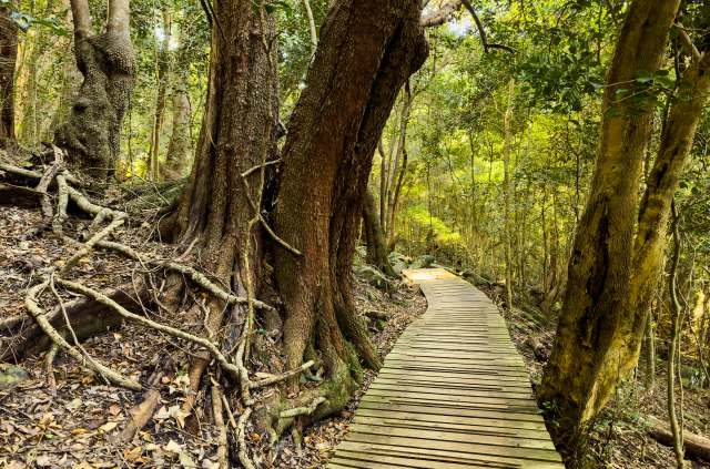 "We understand the excitement that comes with seeing this iconic animal."