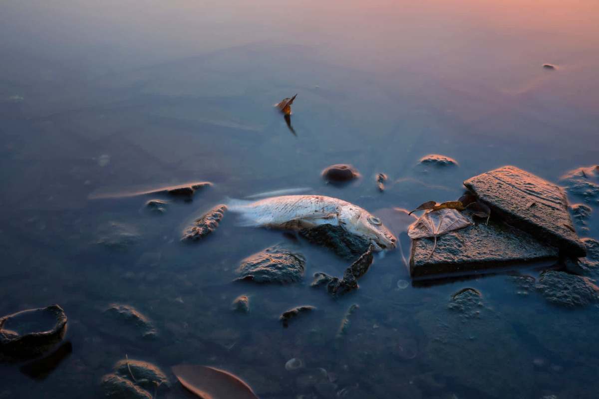 People could be unknowingly exposing themselves and their families.