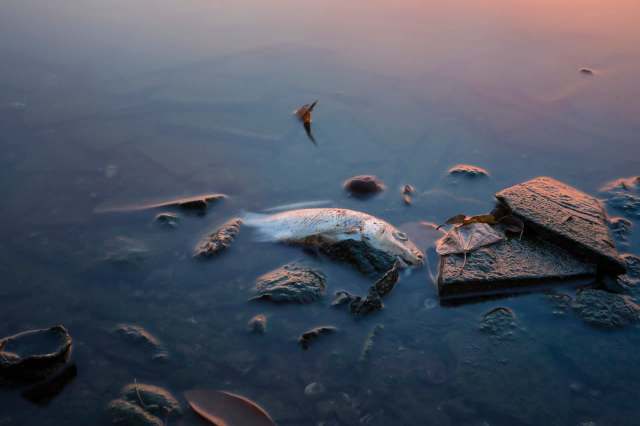 People could be unknowingly exposing themselves and their families.