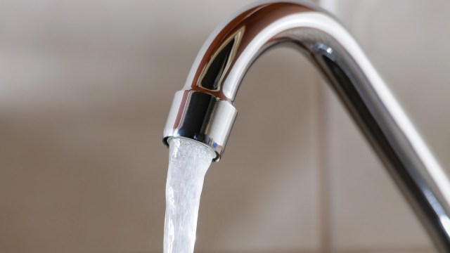 That number could grow as ongoing testing continues throughout this year.