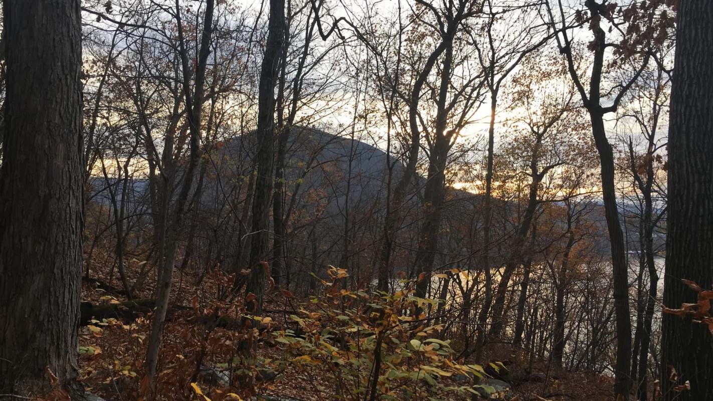 "They were not complying."