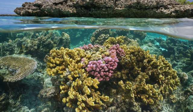 "We applaud the court."