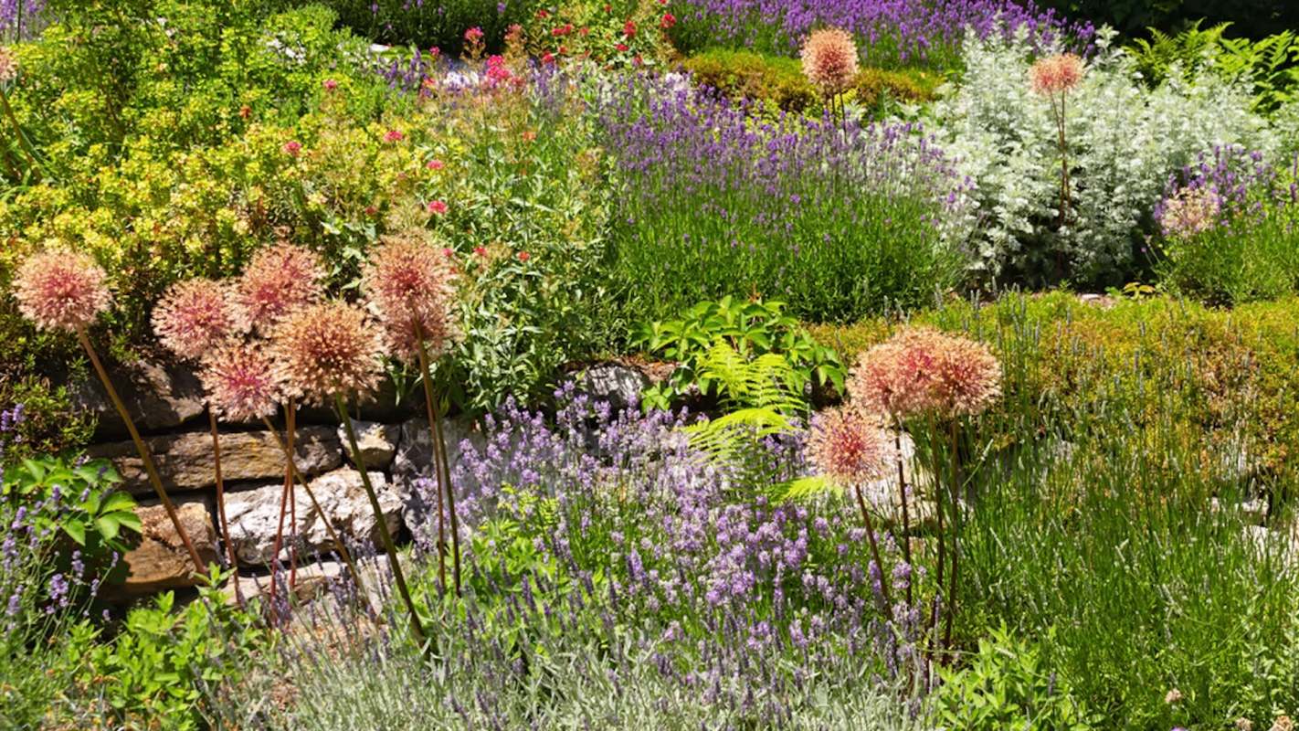 "Perhaps a good omen?"