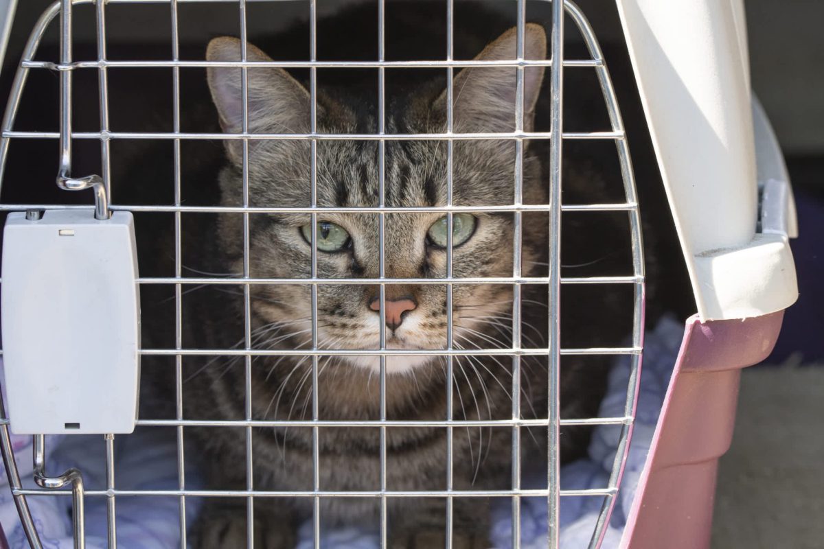 "It felt good that we were recognized for having a really great system in place."