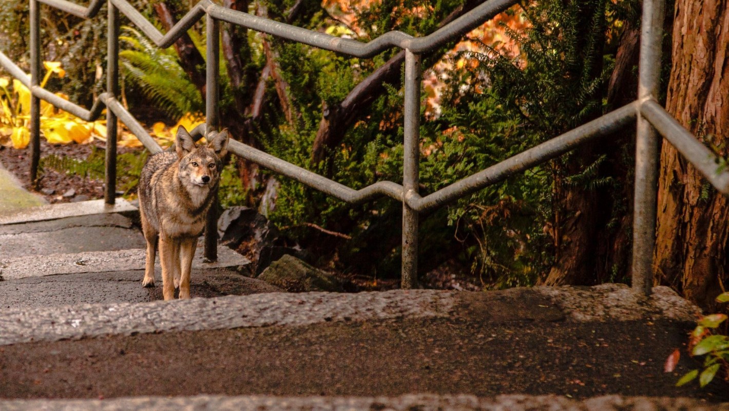 "It's a situation where we all have to learn to live together."