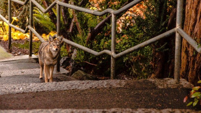 "It's a situation where we all have to learn to live together."