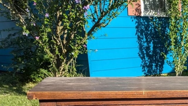 "Someone just left this gorgeous piece of furniture sitting there?"