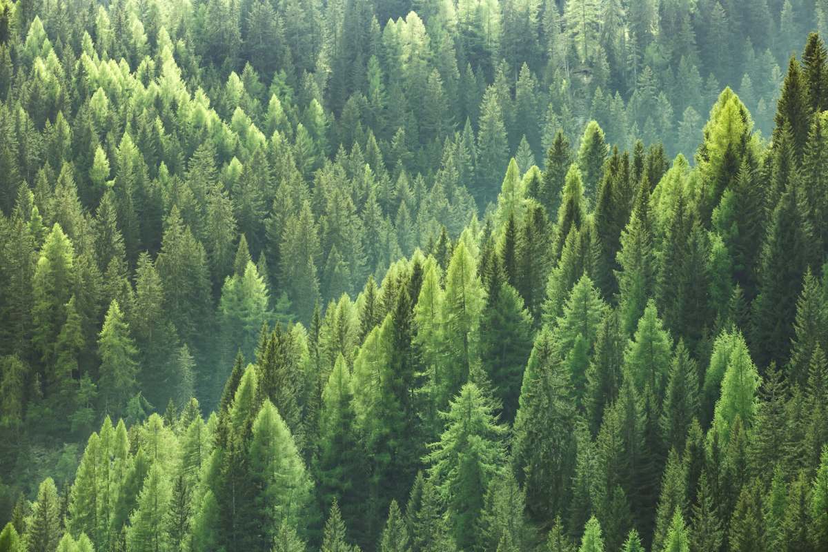 "A self-serving policy."