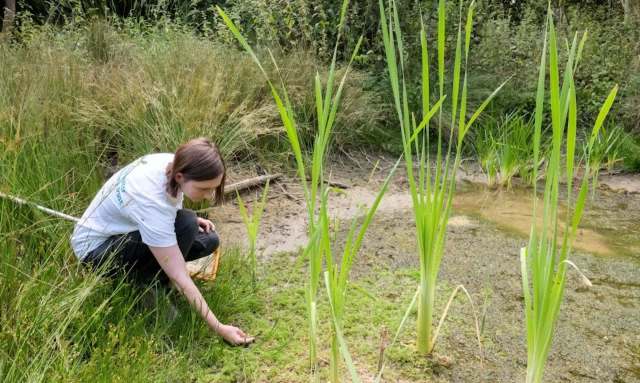 "Working with nature always pays off."