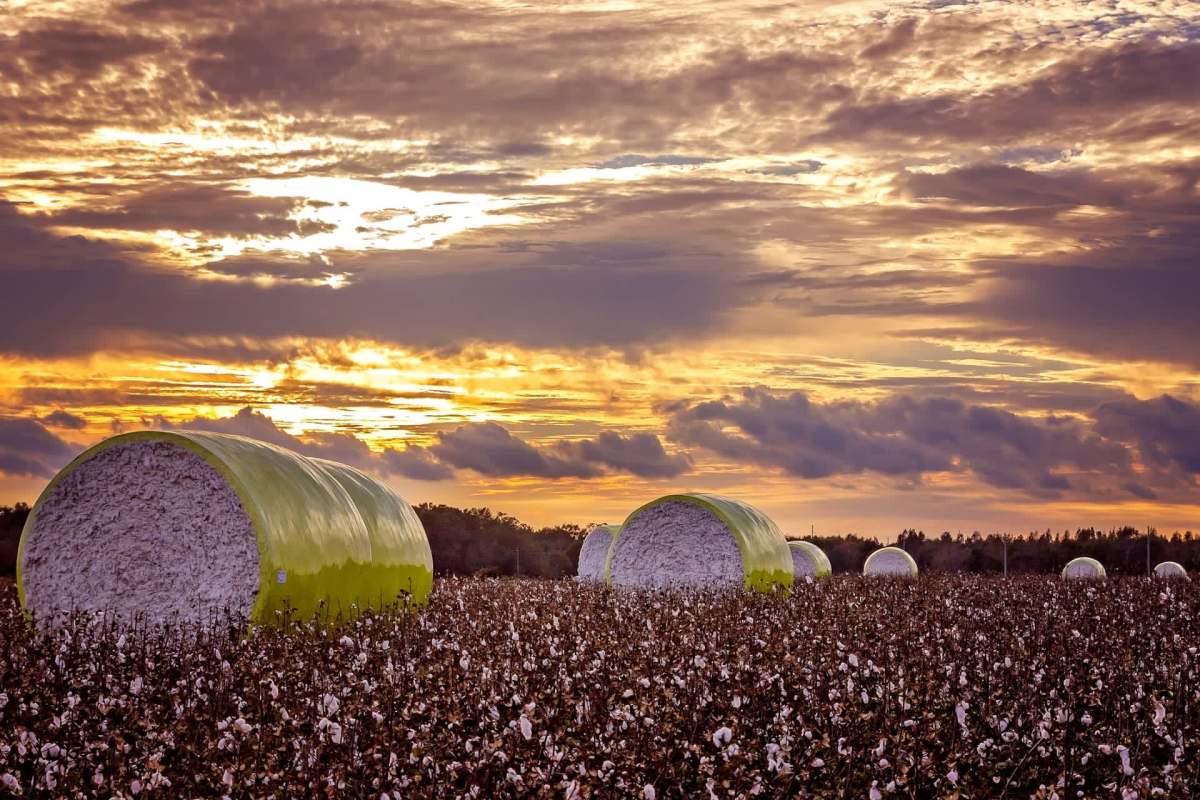 "We've got to do something to slow down the momentum ... but there's got to be some kind of emotional anchor."