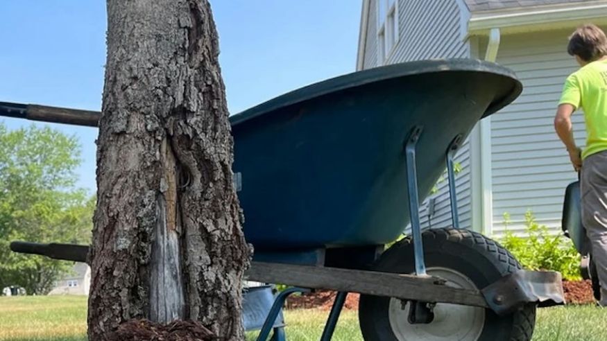 Can Wheelbarrow Damage Lawn: Essential Tips to Prevent Harm