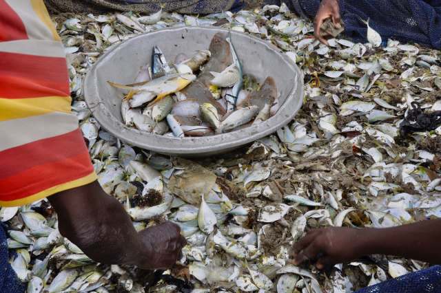 "We're proud to contribute scientific expertise that translates directly into practical, community-driven solutions."