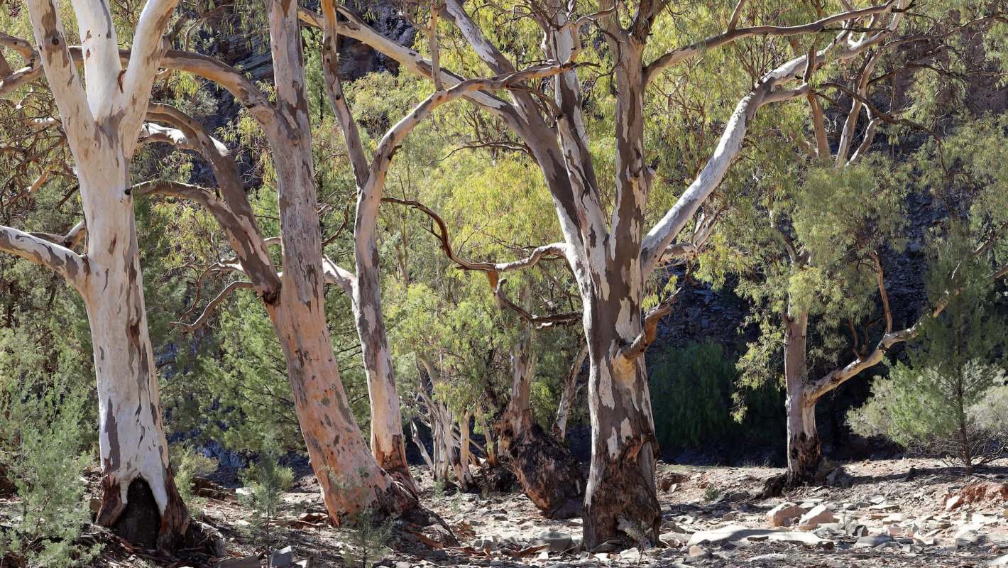 "This was a blatant and repeated breach of environmental laws."