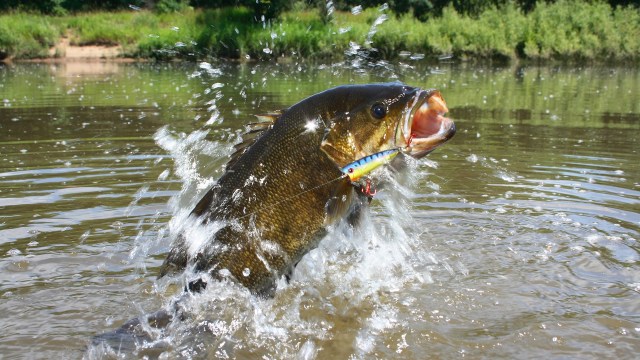 It's our job to remove them.