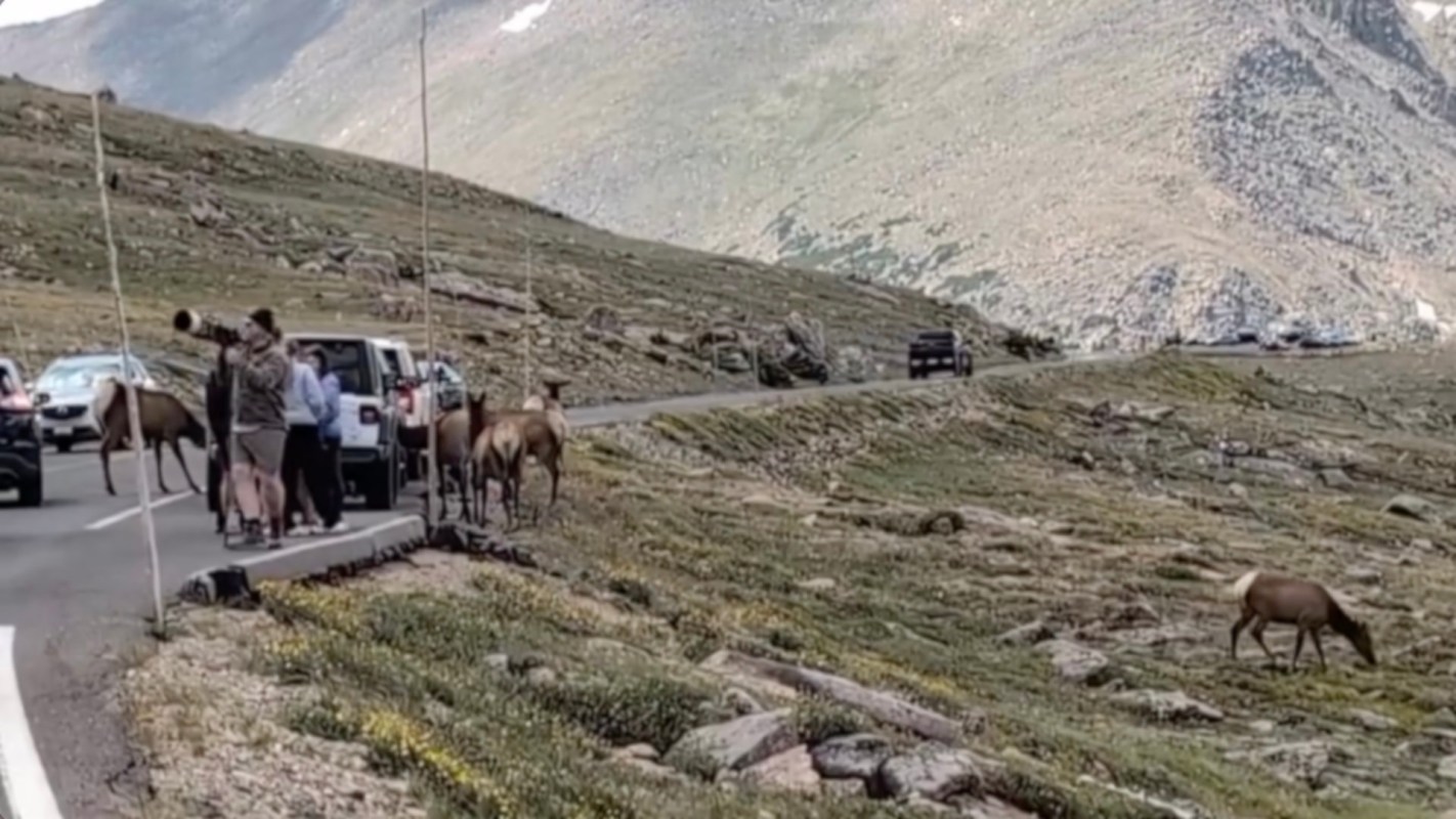 "That is not a Disney character."