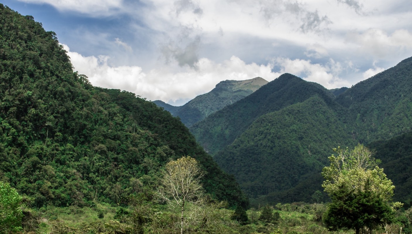 "Our contribution is offered in honor of our parents."