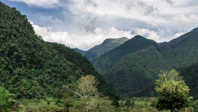 "Our contribution is offered in honor of our parents."