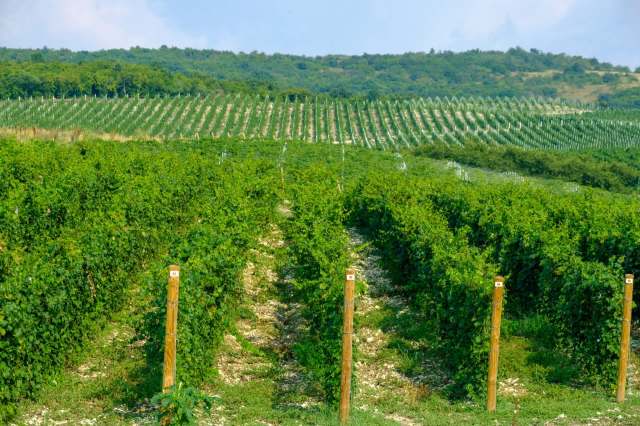 "The agricultural sector must always be prepared for changes in production and export."