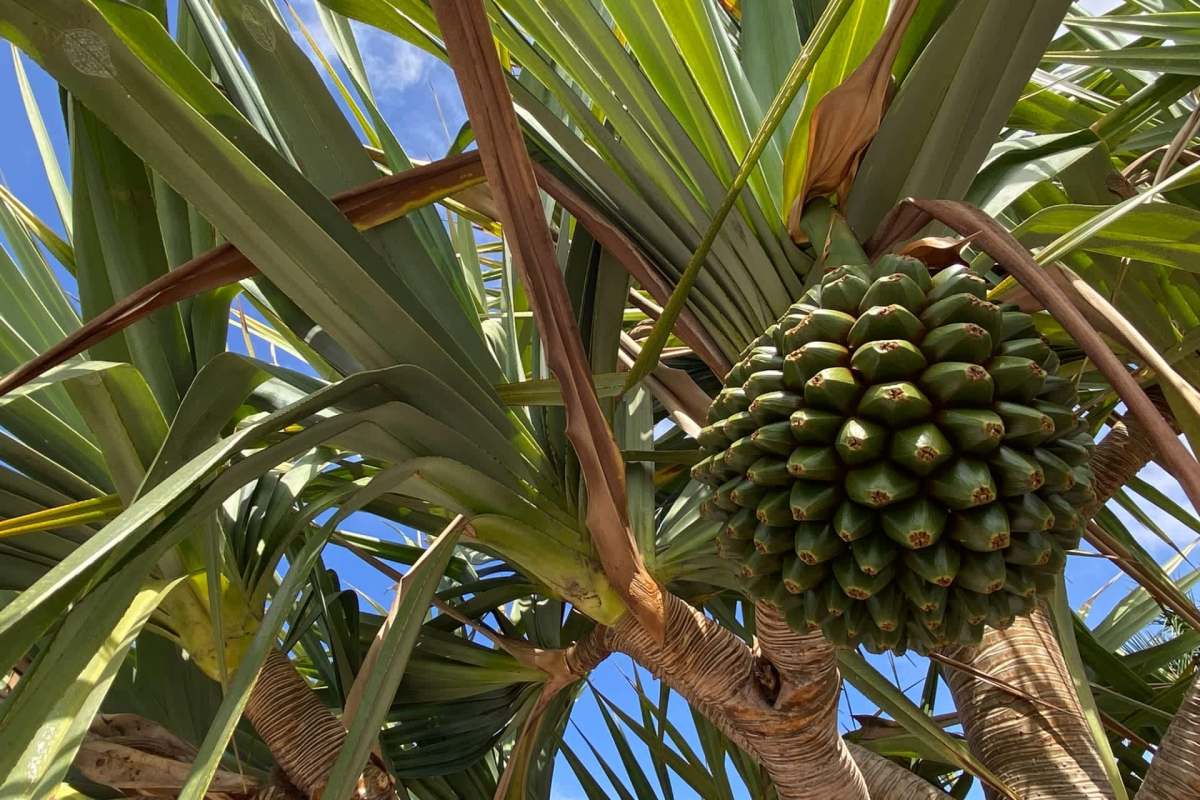 Ultimately, a broader international effort will be needed to manage the problem.