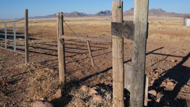 Local ranchers are hauling in water, hay, and nutrients — a costly effort.