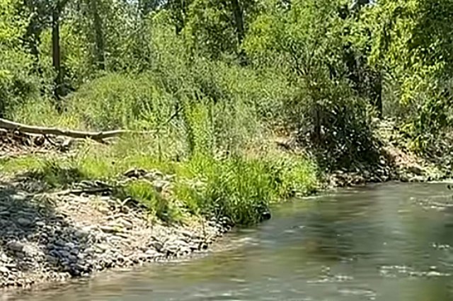 "I say let him have it."