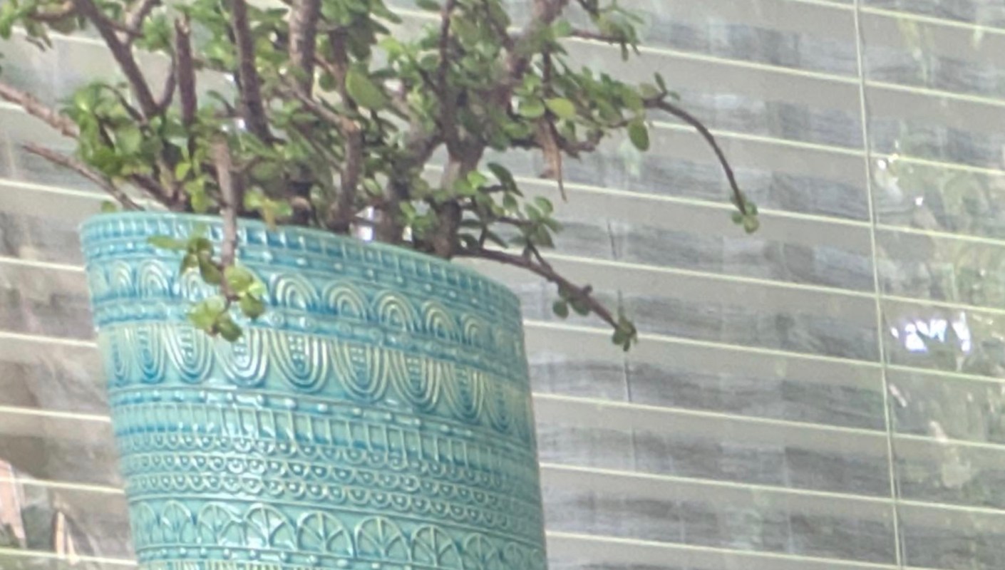 "It was heavy, but totally worth it!"