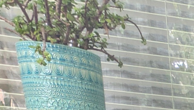 "It was heavy, but totally worth it!"