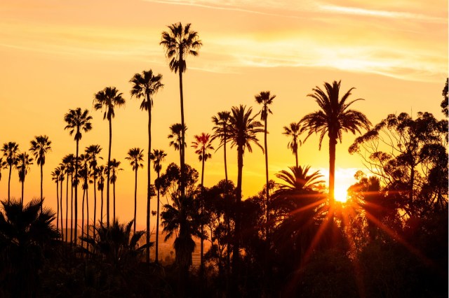 "This initiative will leave a lasting legacy."