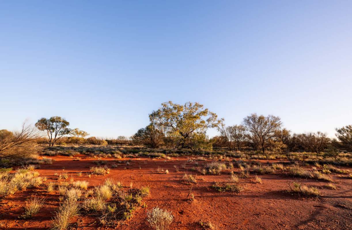 "We were sifting through thousands of motion sensor camera images when we came across that gem."