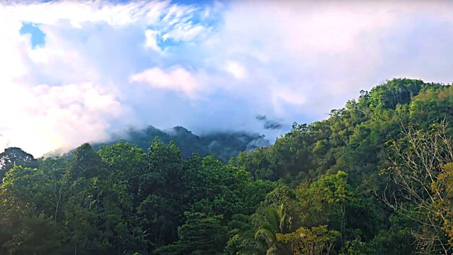 Cameras caught several rarely-seen species.