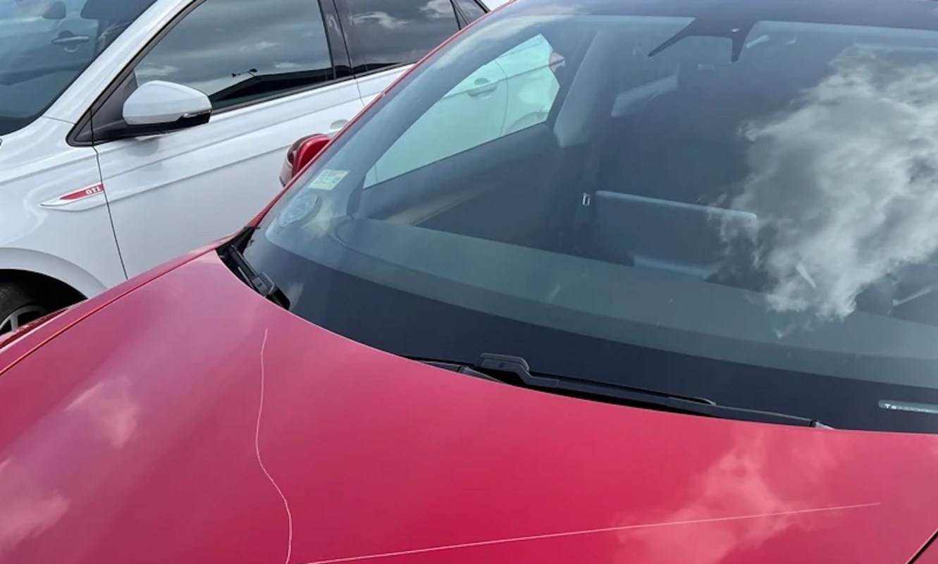 "The more gas goes up and frustration goes up at the pump, the more hatred and animosity people will have against us Tesla owners."