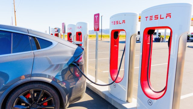 "It does look like a cemetery."