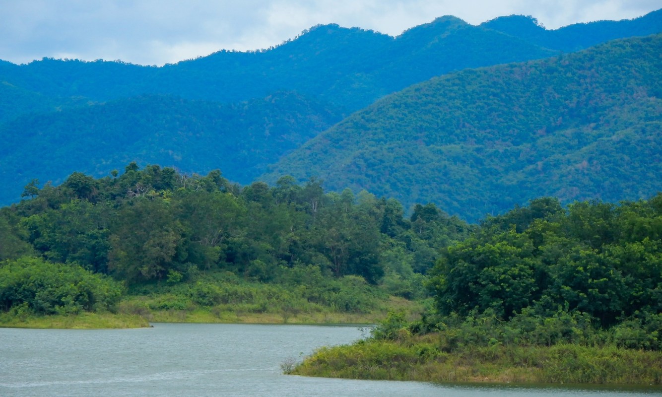 "A rare sighting of an elusive species."