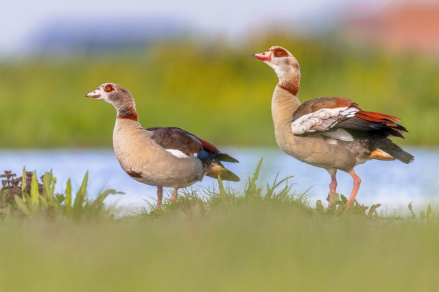 They are urging visitors and residents to be vigilant.