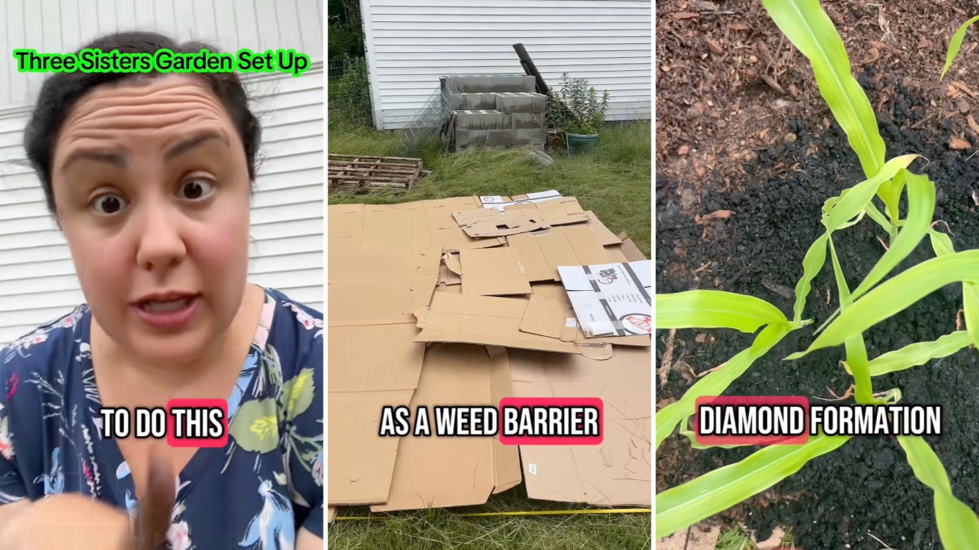 "Can’t wait to see it flourish!"