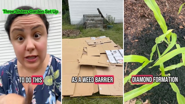 "Can’t wait to see it flourish!"