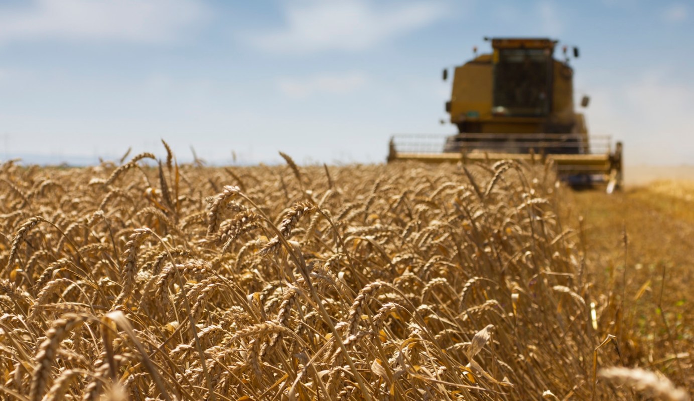 When there are smaller harvests, consumers feel it.