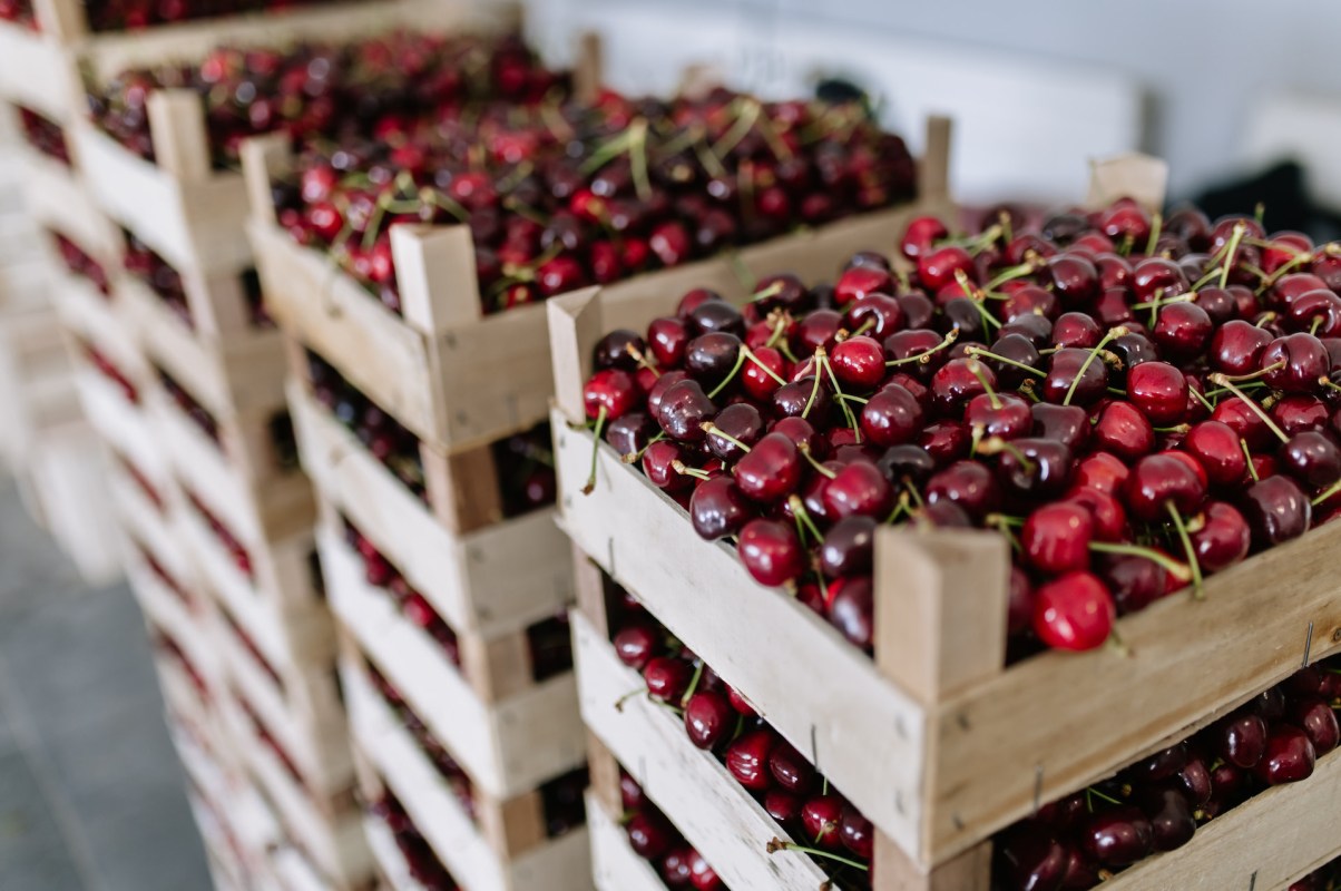 This is only one example of an ongoing trend.