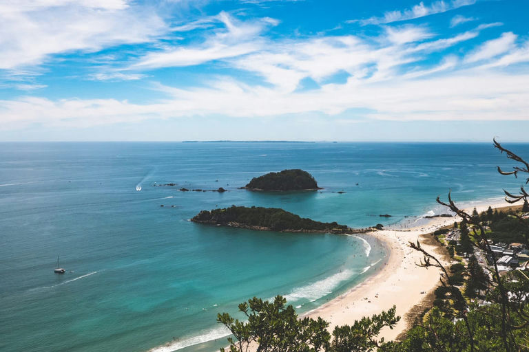 The move is seen as a critical step in protecting both the coastline and the community's recovery.