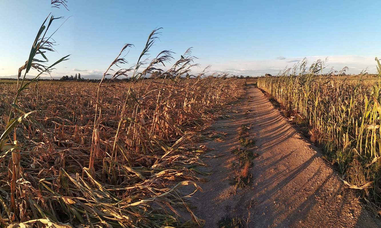 There has been a glimmer of hope.