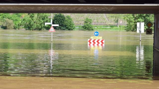 Responders could be seen ferrying people as well as their pets.