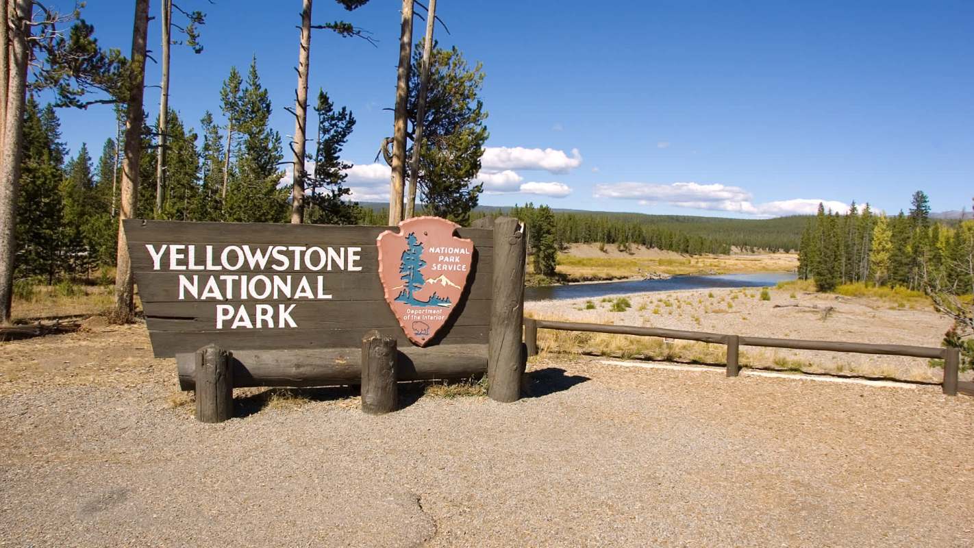 "You need to get back to your vehicle right now."