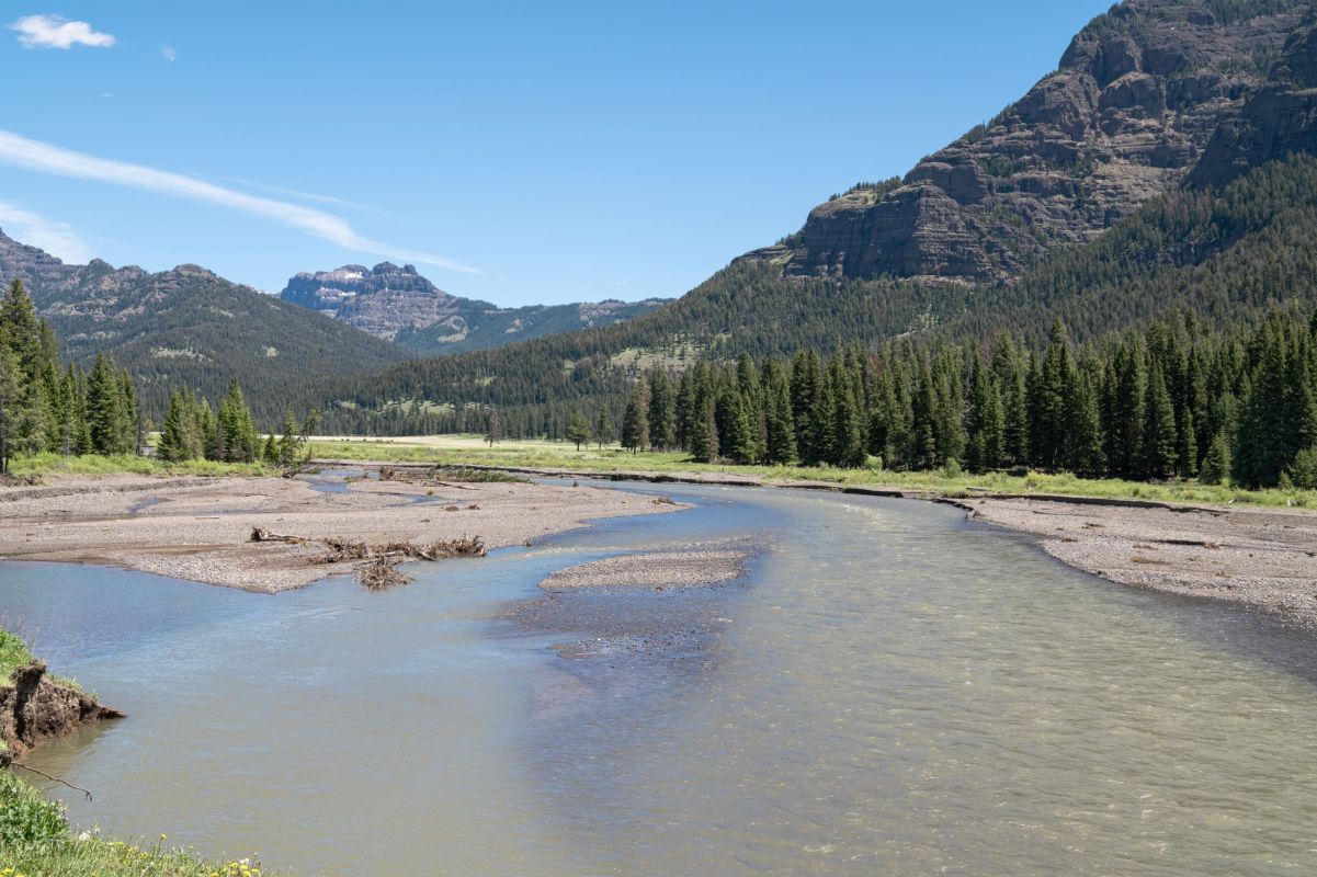 "This mentality is rampant!"