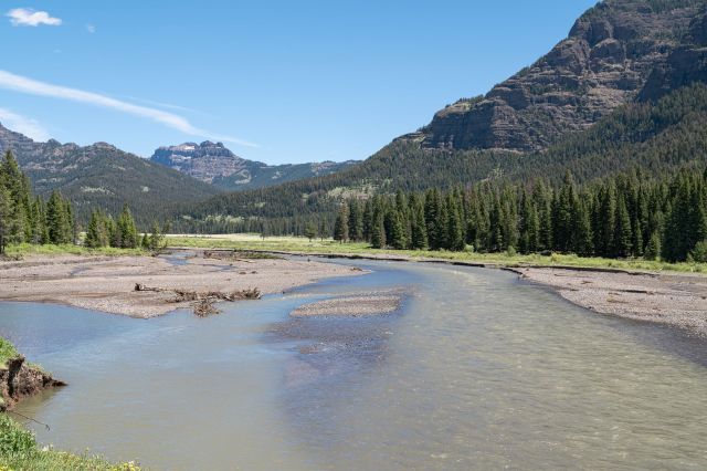 "This mentality is rampant!"