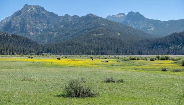 "If only there was something in the name 'hot spring' that indicated their temperature."