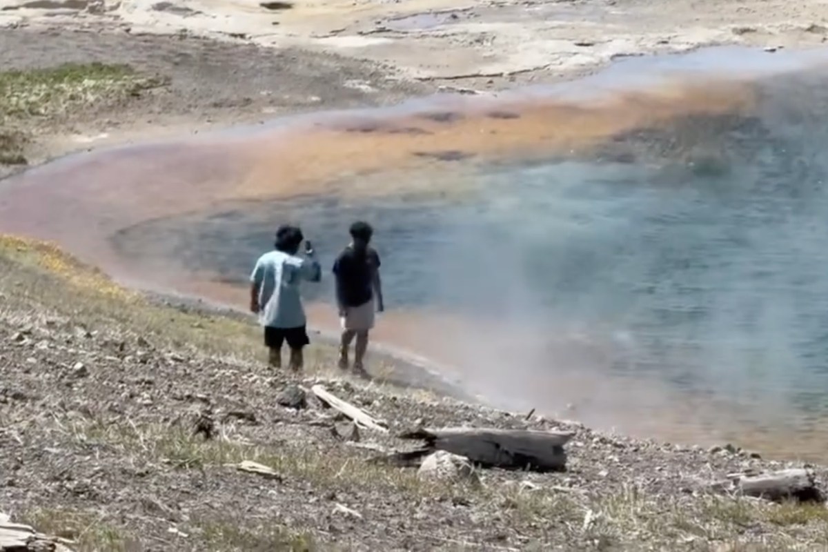 "It's going to have to just be closed because of these kinds of people."